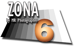 Logo Zona 6
